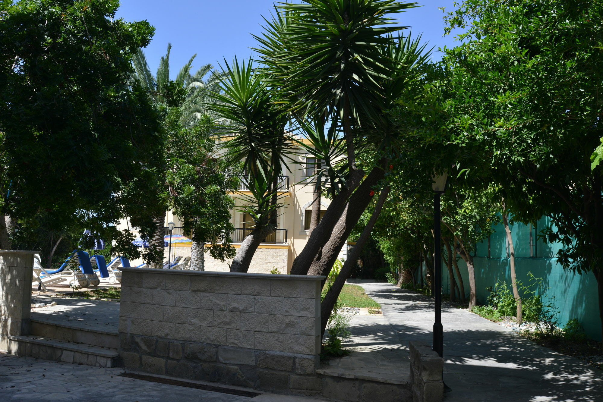 Odysseas & Eleni Hotel Apartments Polis Exterior foto
